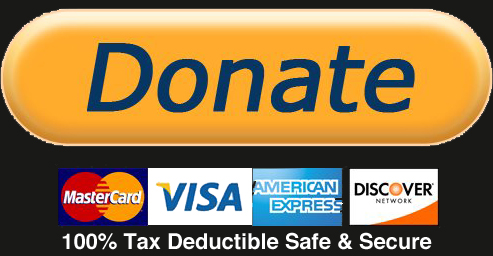 Donate-Button